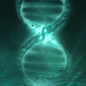 Disturbed - Already Gone [Official Lyrics Video]