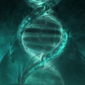 Disturbed - Saviour of Nothing [Official Lyrics Video]